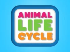 Animal Life Cycle